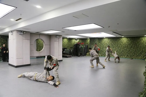 微信图片_20231213153031