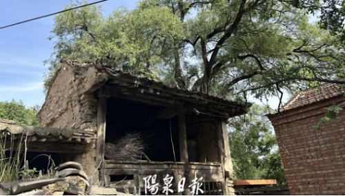 微信截图_20231214095932