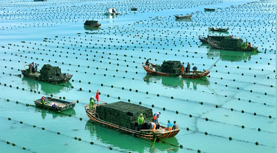 微信截图_20231226161743