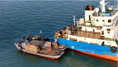 微信截图_20231226161803