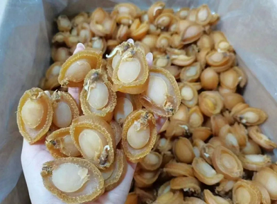 微信截图_20231226161822