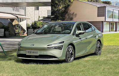 微信截图_20231229094710