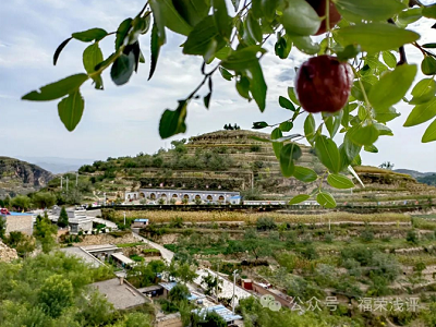 微信截图_20240109101750