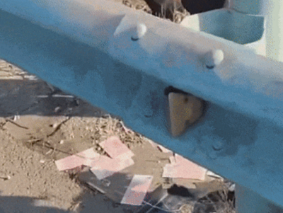 微信截图_20240109111305