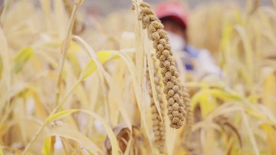 微信图片_20240110102724