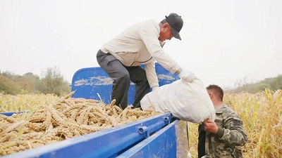 微信图片_20240110102755