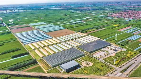 微信截图_20240112163852