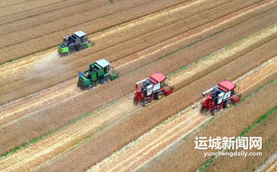 微信截图_20240115110439