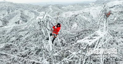 微信截图_20240115110455