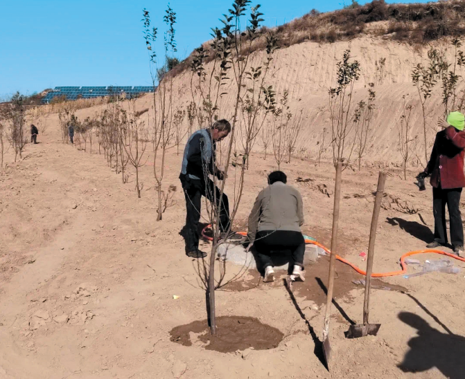 微信截图_20240117104432