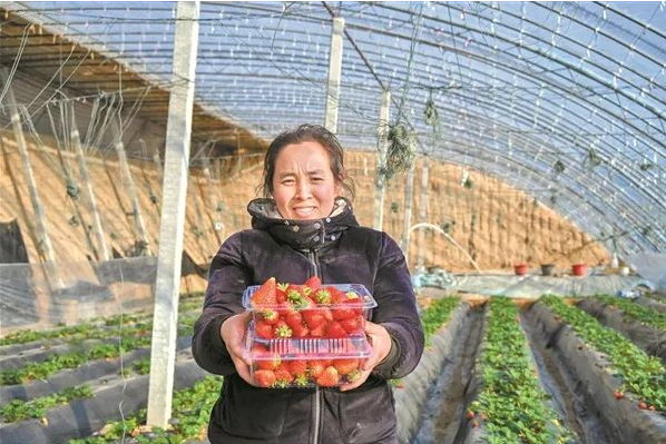 微信截图_20240124165516