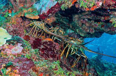 微信图片_20240126153446