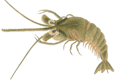 微信图片_20240126153450