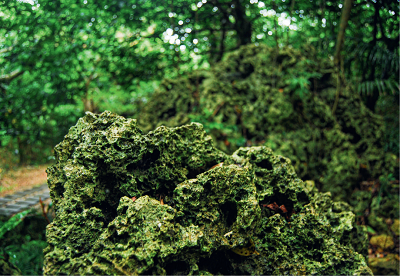 微信图片_20240126153526