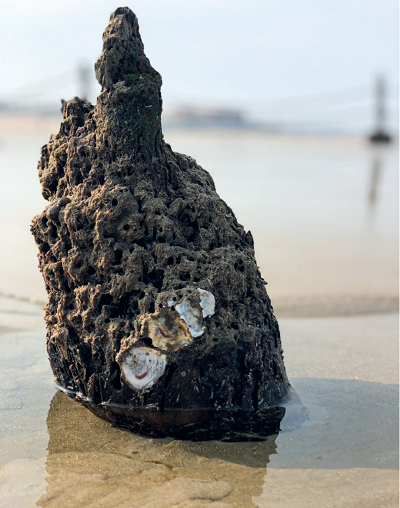 微信图片_20240126153531