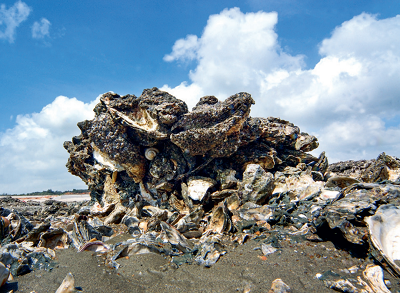 微信图片_20240126153534