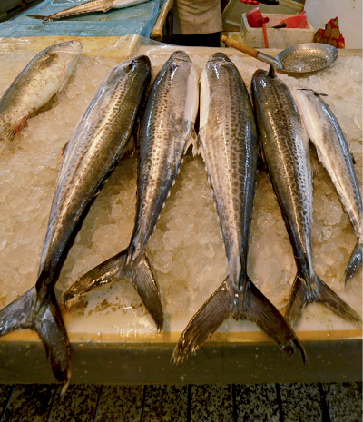 微信图片_20240126153542