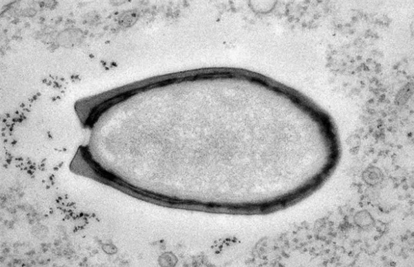 s_70960a2d58e54e3b822aa2d6d6fc89b4