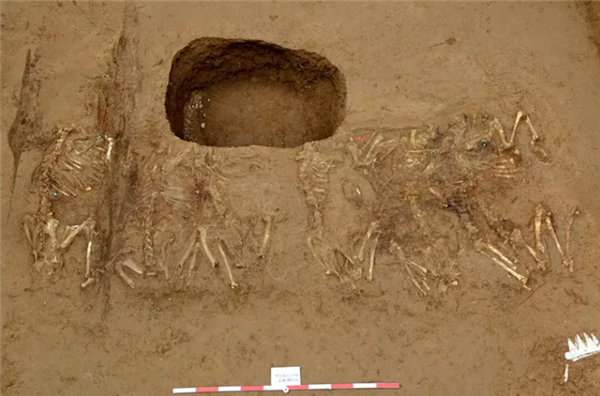 s_82e7ff7f23c646718077ed352dc8c781