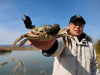 微信截图_20240129113252