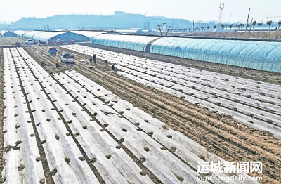 微信截图_20240129114745