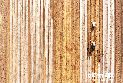 微信截图_20240129114754