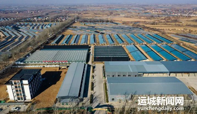 微信截图_20240129114813