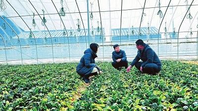 微信图片_20240130164902