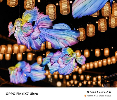 微信图片_20240202101414