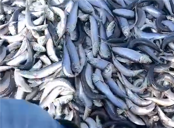 S3c2f41b0-3f12-42fe-8e76-48c69ec40c85