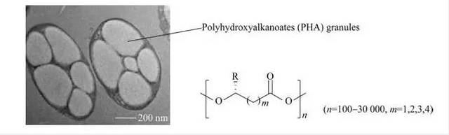 微信截图_20240220114217