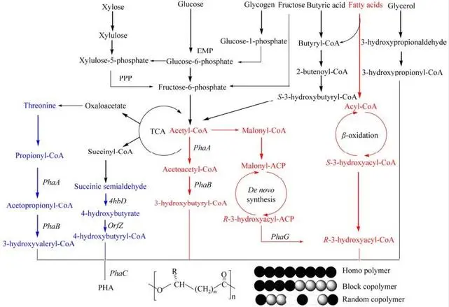 微信截图_20240220114313