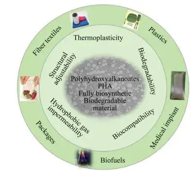 微信截图_20240220114253