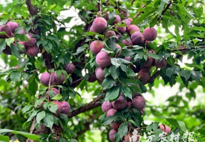 微信截图_20240220173247