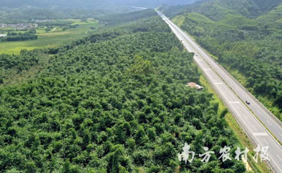 微信截图_20240220173303