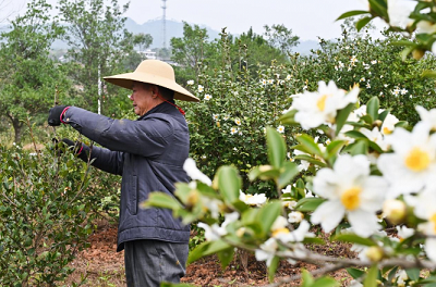 微信截图_20240226164403