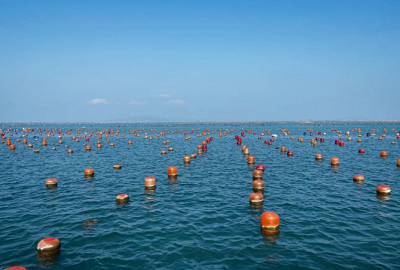 微信截图_20240226164412