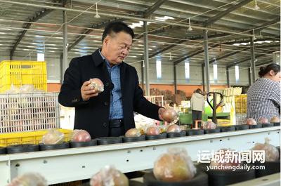 微信截图_20240226170404