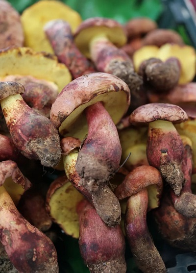 微信图片_20240306100723