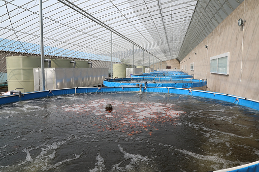 微信截图_20240306110937