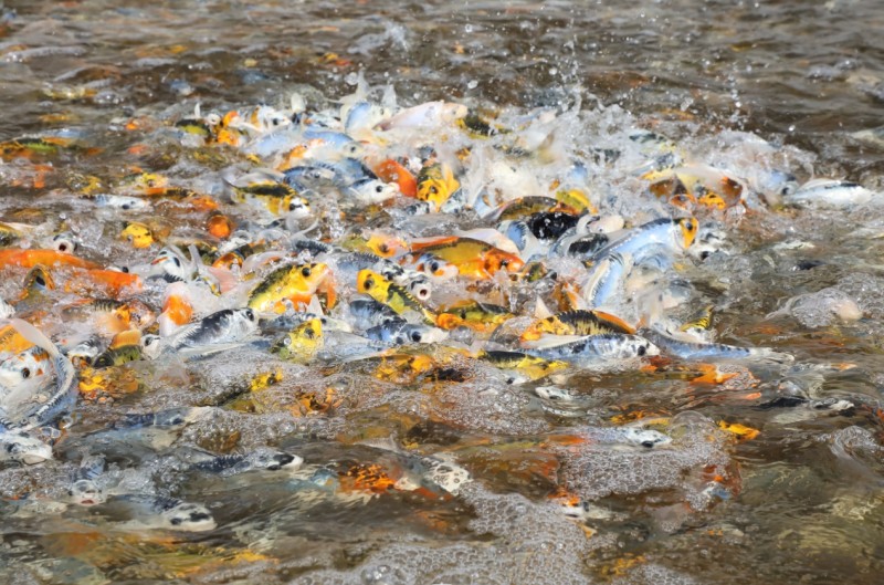 5f844313-5352-4b10-afd1-eef58362434a-W020240305739692846793