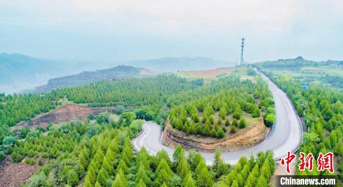 797537d2-60b0-4816-877e-afd4ec18f7f5_zsite