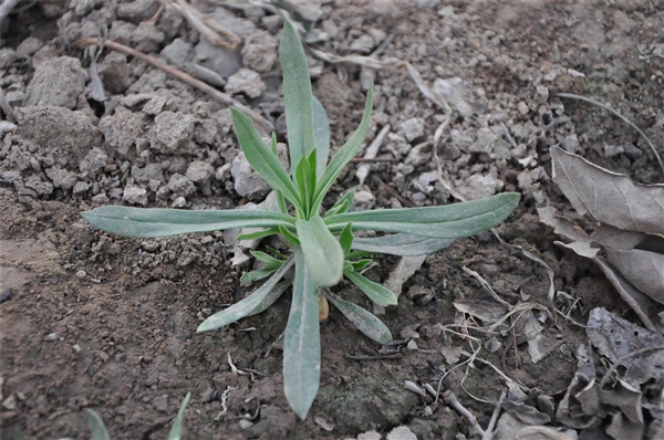 Saf4bdbc2-bd46-46b8-8b09-5a560a0864cc