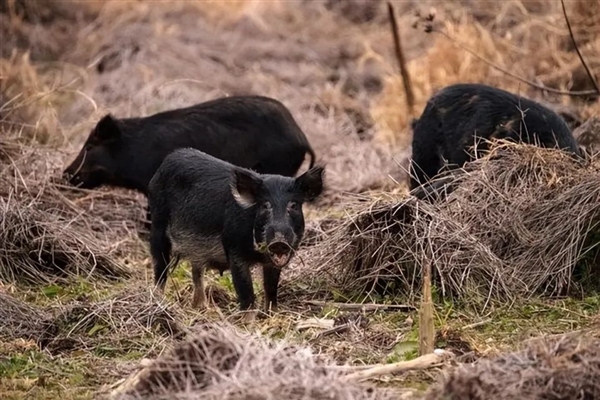 Se3b6670c-c034-458a-a64f-2f5c539cdefe