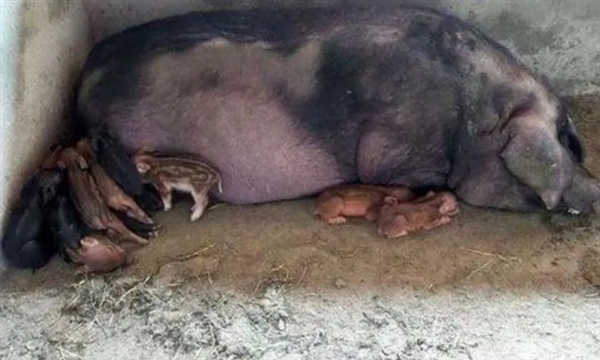 S2957ff18-1772-4136-a617-937a81ede2cf