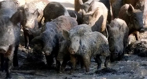 S8dfed3e3-8dba-4821-ad63-9a29faa86a20