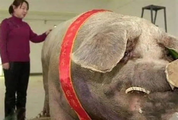 S8d48892d-5b3e-436c-8891-f82c8292fd06