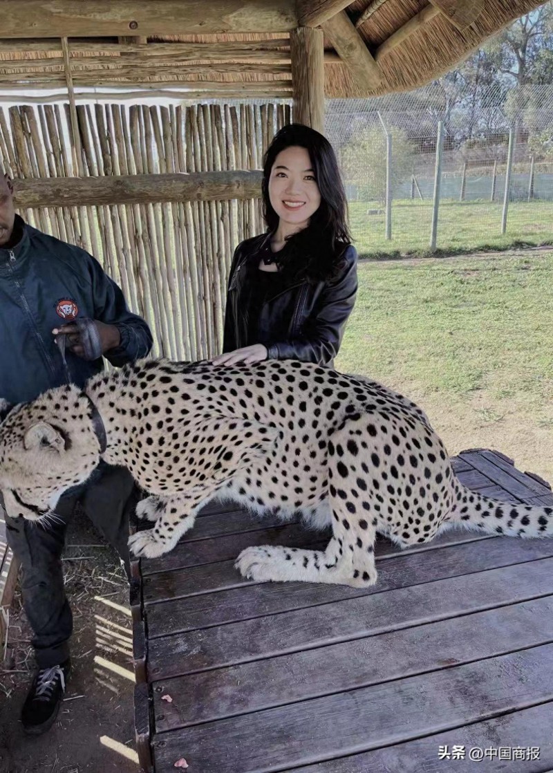 在迪拜创业的携程女向导郑甜梦：以热爱和勇气迎来旅游业复苏