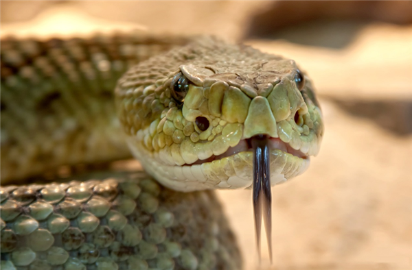 6d7fef95-89ed-4119-b3a2-b51a0d9100cb