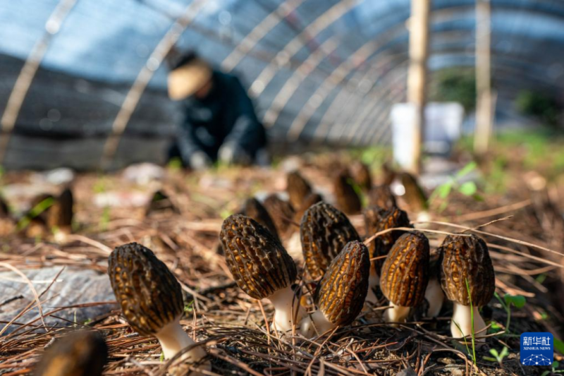 微信图片_20240313140319